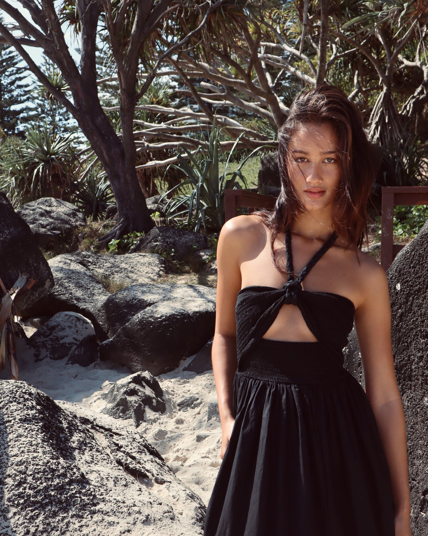 Elanor Dress - black